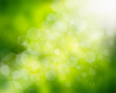 shutterstock_104286494