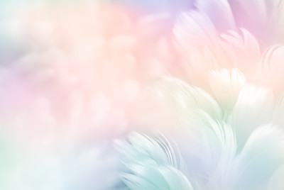 shutterstock_1170800890