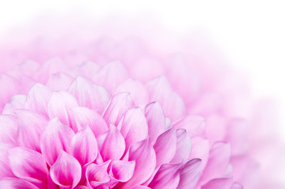 shutterstock_141608467