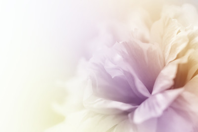 shutterstock_196618382