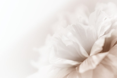 shutterstock_200192162